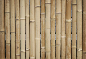 Fototapeta premium Bamboo pattern