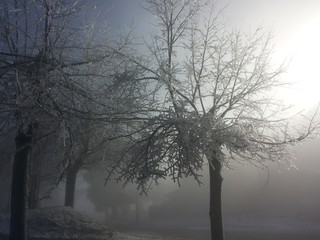 Chiesa ghiaccio alberi