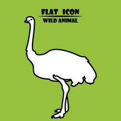 Ostich icon. Flat animal illustration isollated on green background.