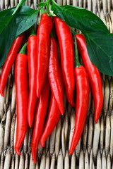 Red chili peppers with leaves