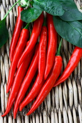 Red chili peppers with leaves