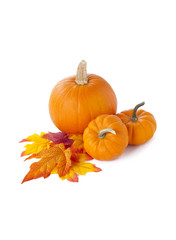 pumpkins on leaves