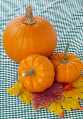 three pumpkins on plaid