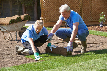 Landscape Gardeners Laying Turf For New Lawn