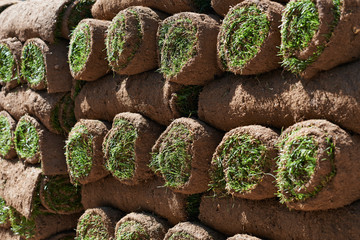 Close Up Of Turf Rolls Waiting To Be Laid As New Lawn