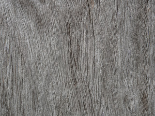 Old gray wood panel texture