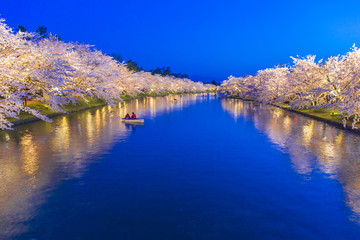 Nachtkirschblüten im Hirosaki Park