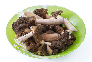 Morels