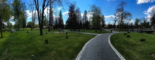 Fototapeta premium panorama parku drzewa i ścieżka