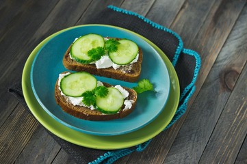 Healthy vegetarian sandwich with cucumber and curd cheese