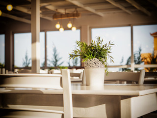 close up of table with flowers