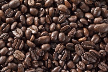 coffee beans