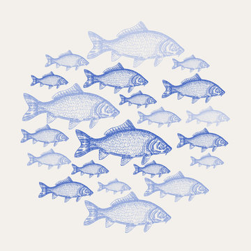 Hand drawn carp fish background. Vector illustration seafood