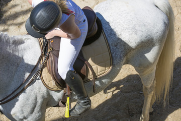 Le cheval et son cavalier