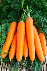 Fresh carrots with green leaves