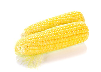 Corn isolated on white background.
