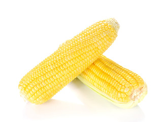 Corn isolated on white background.