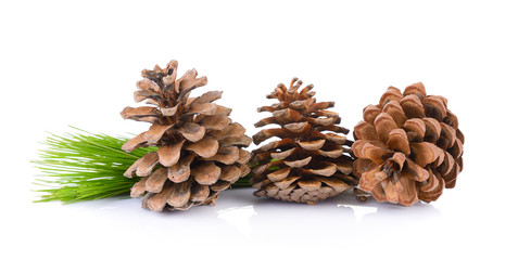 Pine cones isolated on white background