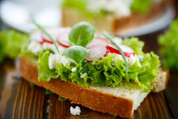 sandwich with cheese, radish and lettuce