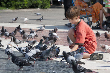 Obraz premium kid feeding pigeons.