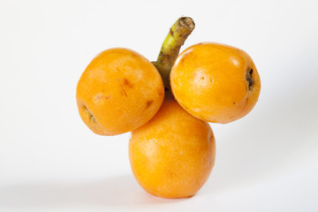Loquat medlar
