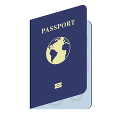 Passport  icon illustration