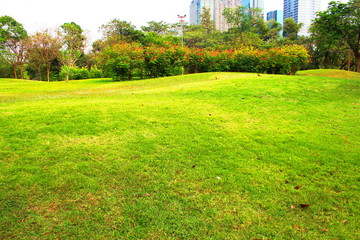 Obraz premium nature garden 