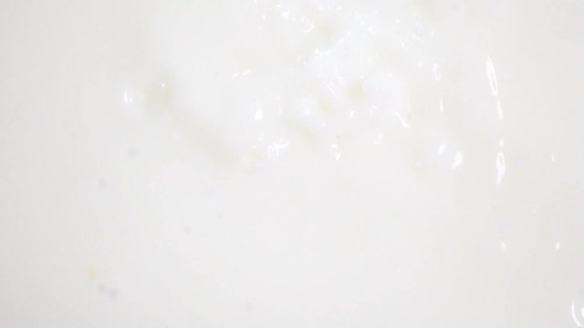 Berries of grape falling into the fresh white milk in slow motion. Shot on high-speed camera 