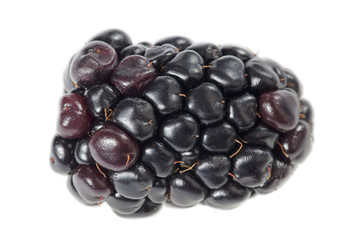 blackberry