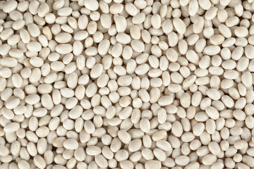 close up image of heap white beans
