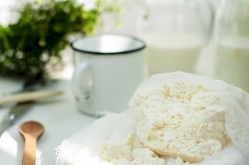 Plate of homemade cottage cheese