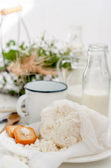 Plate of homemade cottage cheese