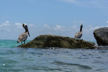 The Beach