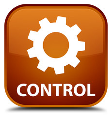 Control (settings icon) brown square button