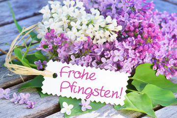 Frohe Pfingsten!, Schild mit Schrift, Flieder lila und weiss, Copyspace
