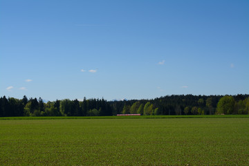 Fr&uuml;hling in Bayern
