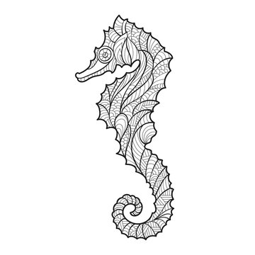 Vector monochrome hand drawn zentagle illustration of sea horse.