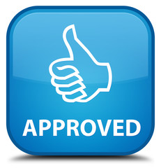 Approved (thumbs up icon) cyan blue square button
