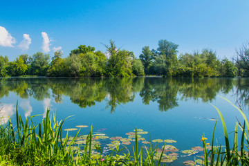 Obraz na płótnie Canvas Lakes Savica in Zagreb, Croatia, nature wildlife landscape