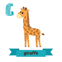 Giraffe. G letter. Cute children animal alphabet in vector. Funn