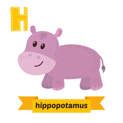 Hippopotamus. H letter. Cute children animal alphabet in vector.