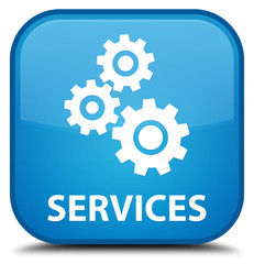 Services (gears icon) cyan blue square button