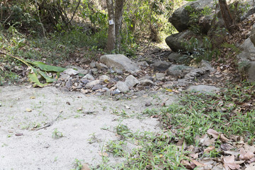 trail on hill in forest for hiking or trekking