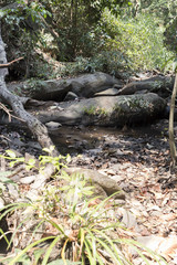 trail on hill in forest for hiking or trekking