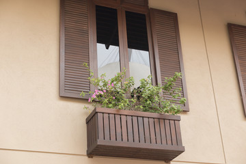 wooden window decorating with flowerpot