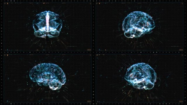 Brain Monitoring (Loop)