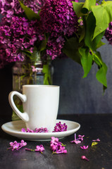 Spring time interior with lilac