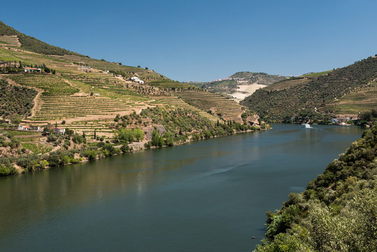 Douro Valley and River in Portugal.
