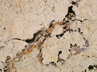 Cannstatter Travertin 3