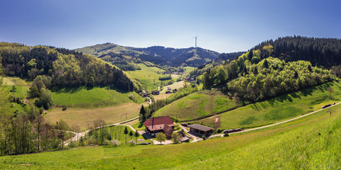 Panoramalandschaft im Hauserbachtal, Schwarzwald